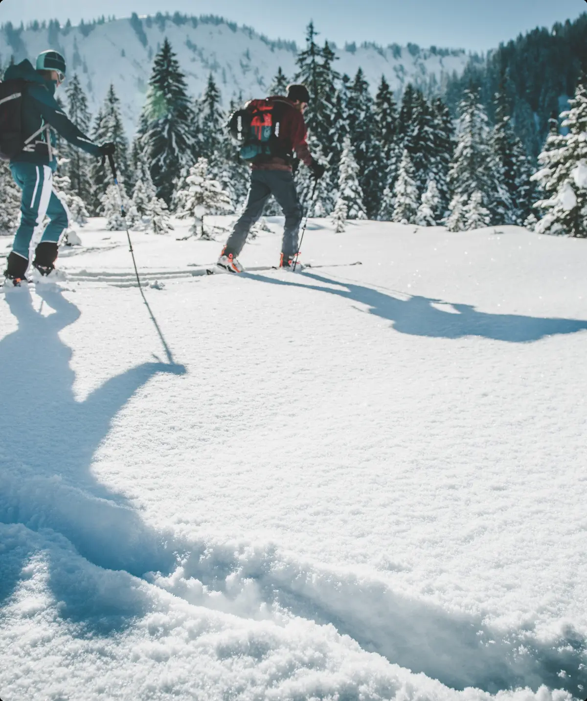 Ein Alt-Tag wegen BFSG | © DAV