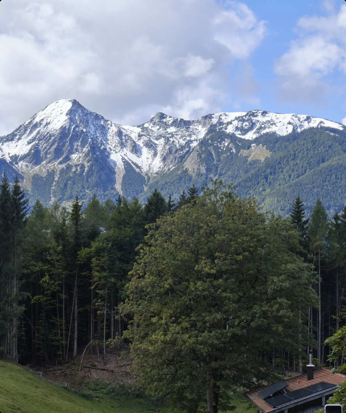 Hallo, ich bin der Title beim BFSG-Bild | © BFSG-Bild ohne Alt mit Title