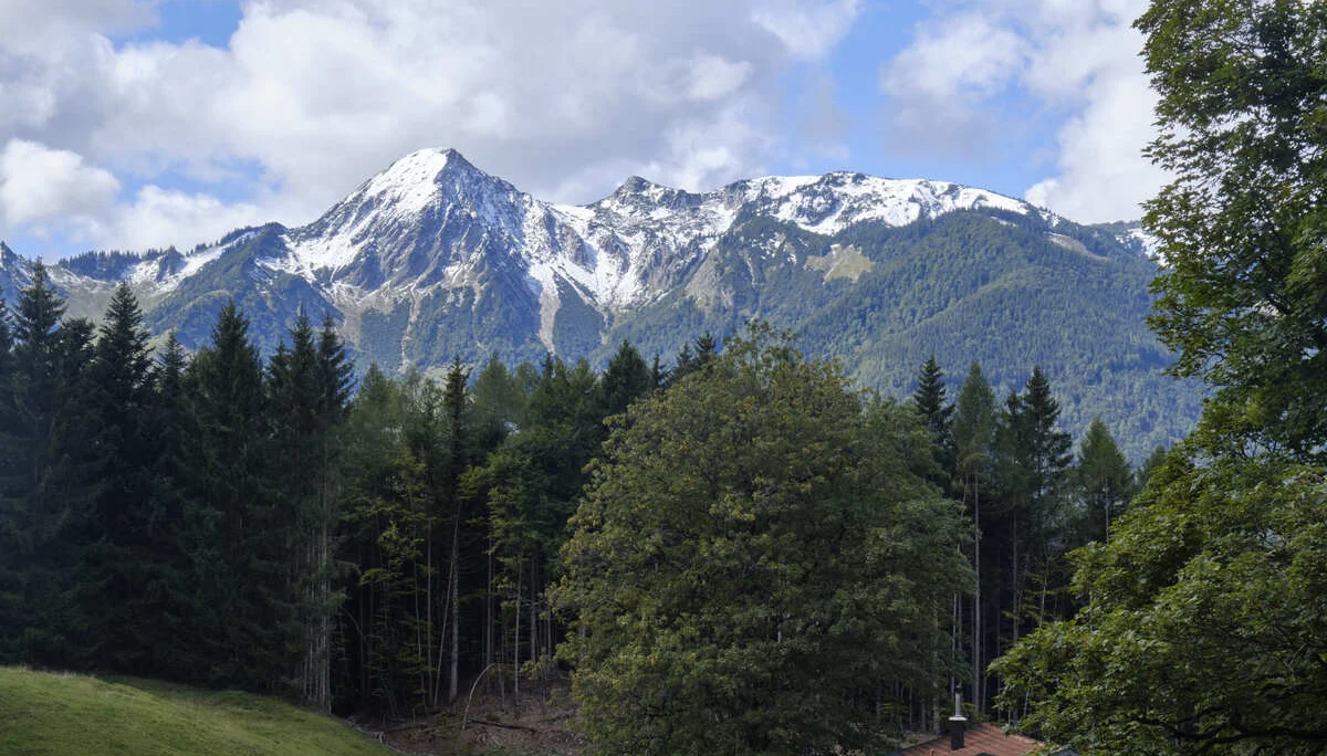 Hallo, ich bin der Title beim BFSG-Bild | © BFSG-Bild ohne Alt mit Title
