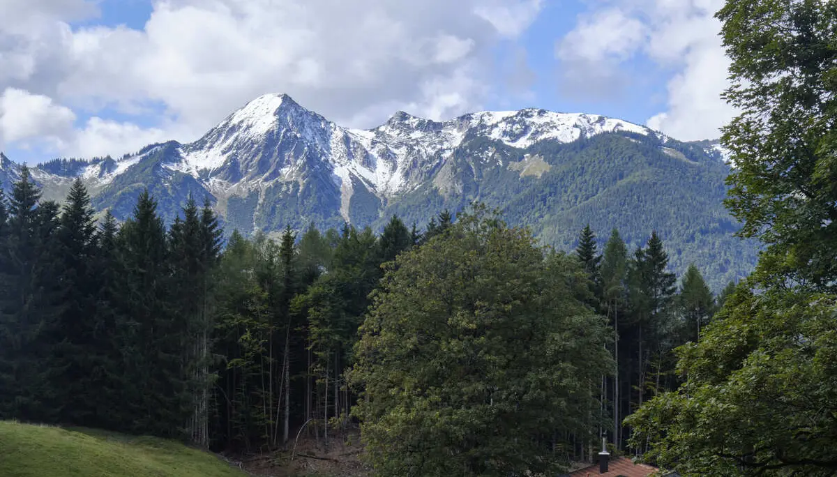 Hallo, ich bin der Title beim BFSG-Bild | © BFSG-Bild ohne Alt mit Title