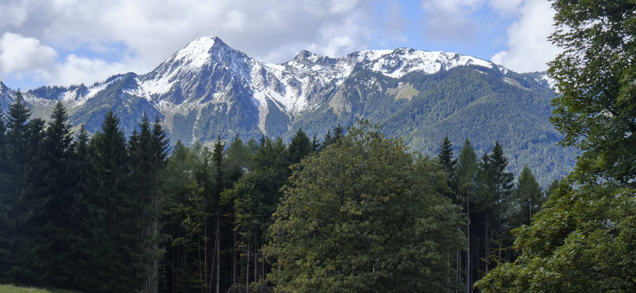 Hallo, ich bin der Title beim BFSG-Bild | © BFSG-Bild ohne Alt mit Title