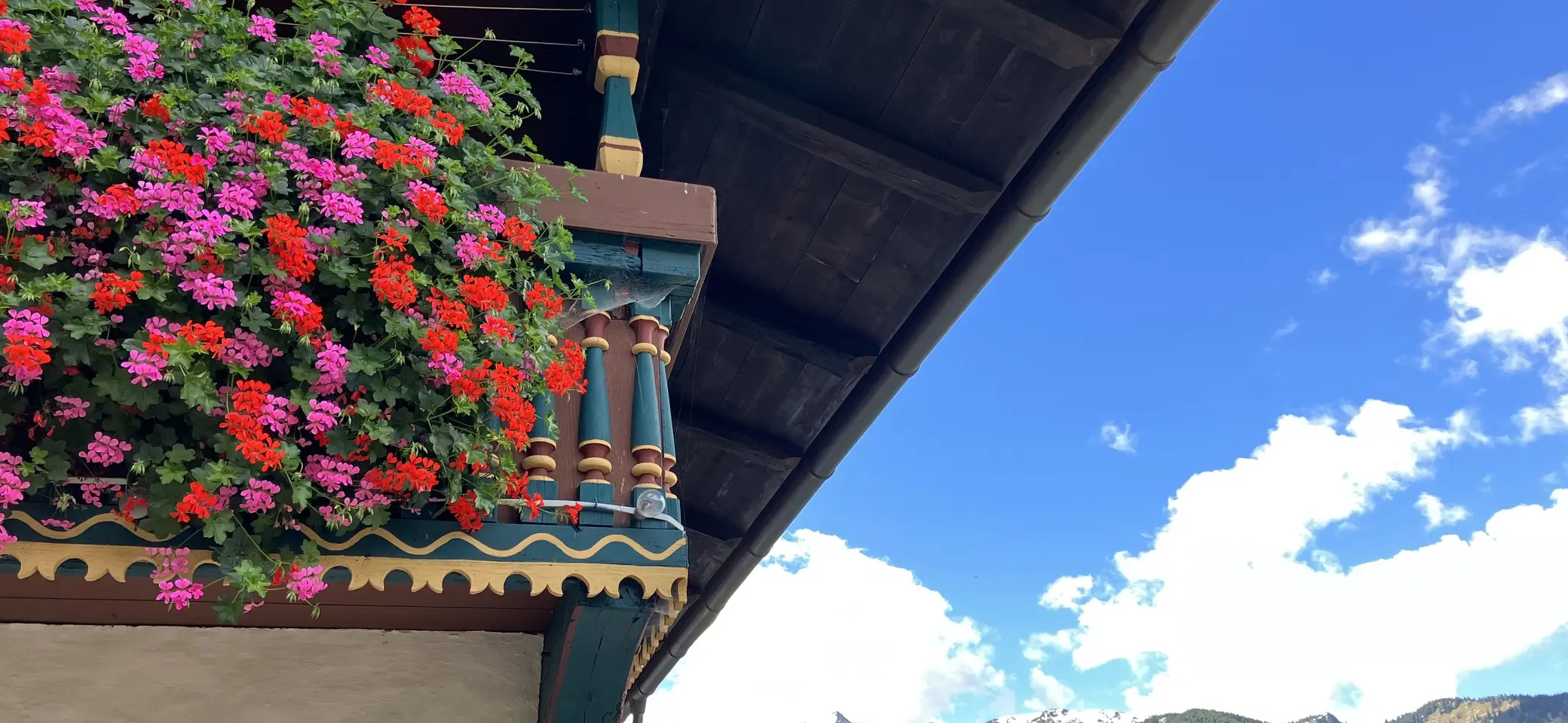 Hallo, ich bin der Alt beim BFSG-Testbild | © BFSG-Bild mit Alt ohne Title