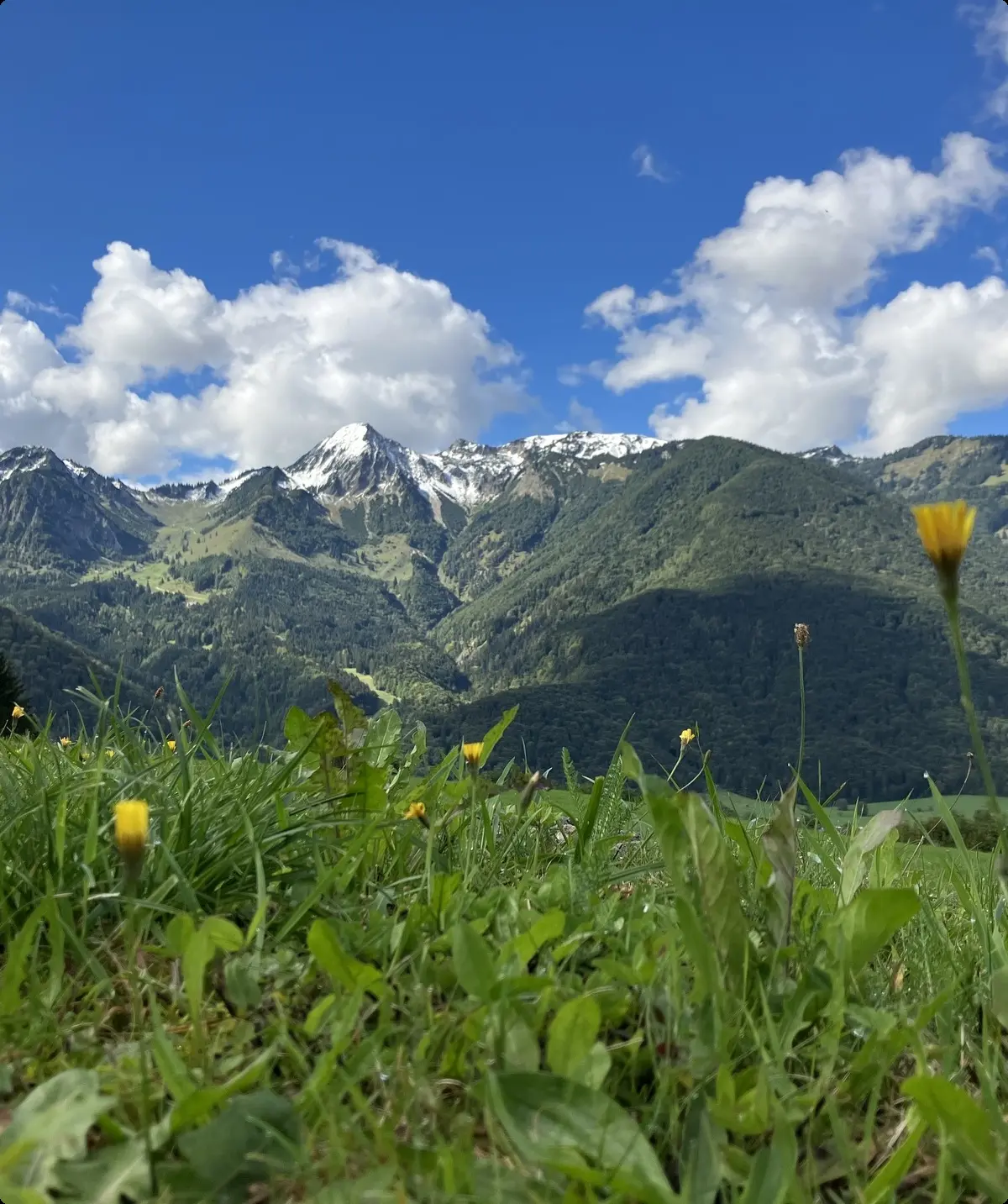 © BFSG nur mit Copyright