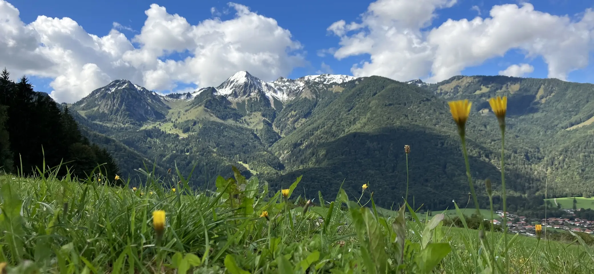 © BFSG nur mit Copyright