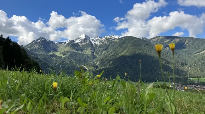 © BFSG nur mit Copyright