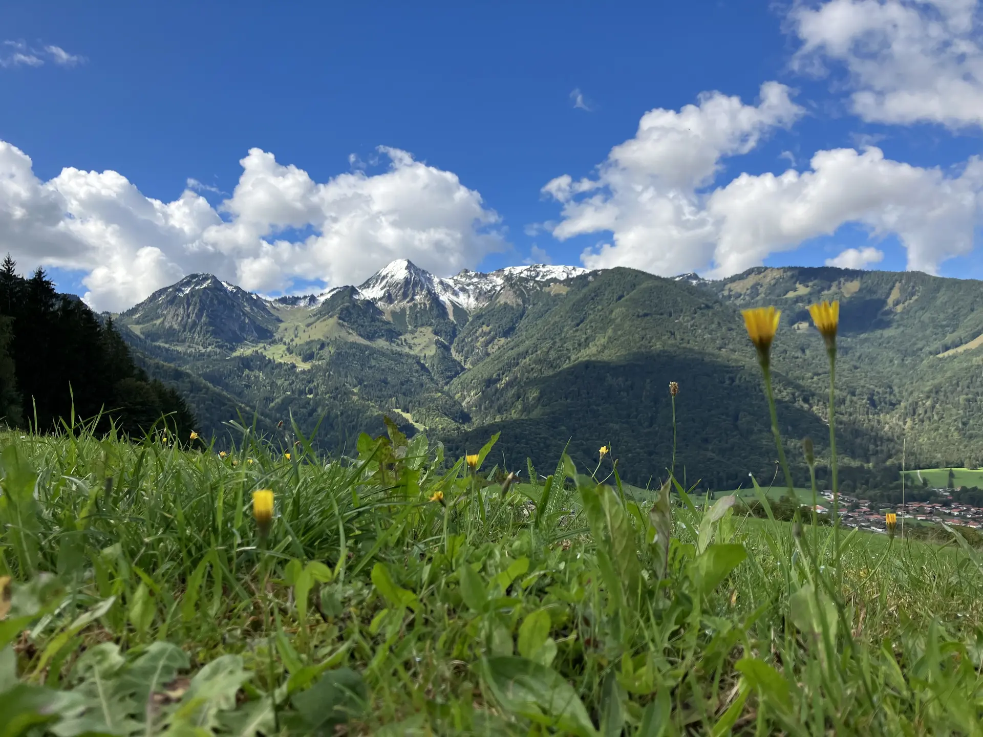 © BFSG nur mit Copyright