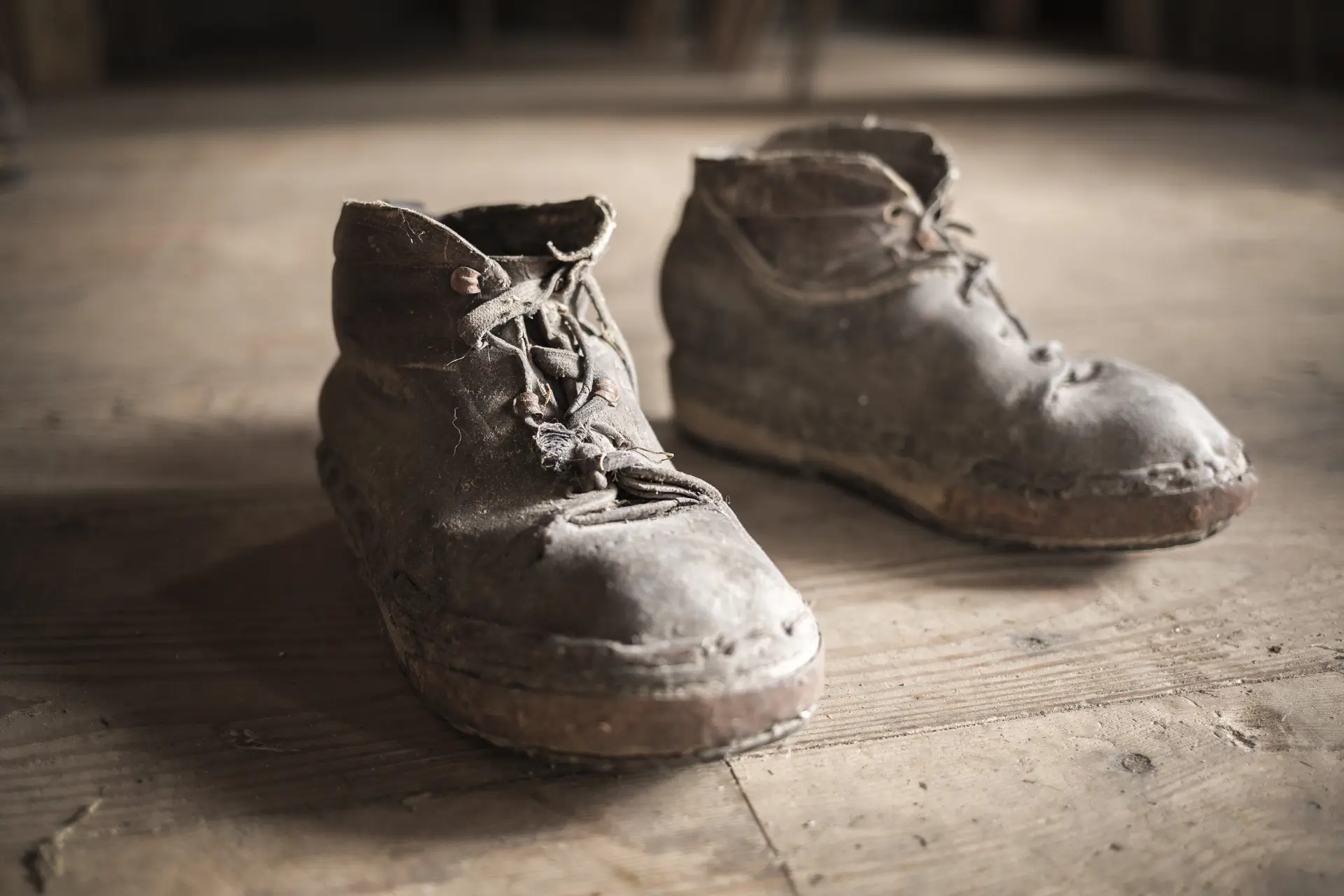 Ein Alt-Tag wegen BFSG | © DAV