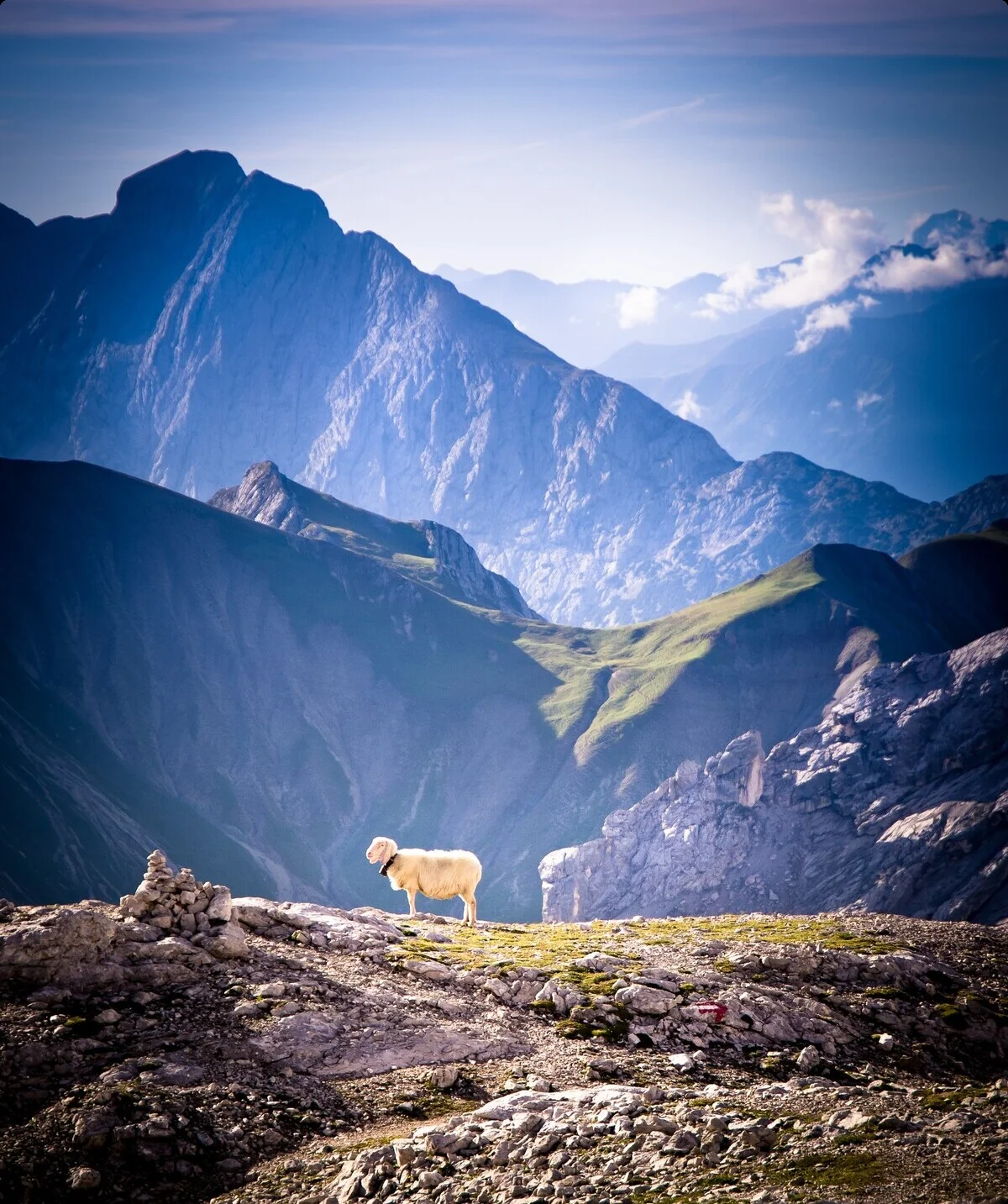 Ein Alt-Tag wegen BFSG | © DAV