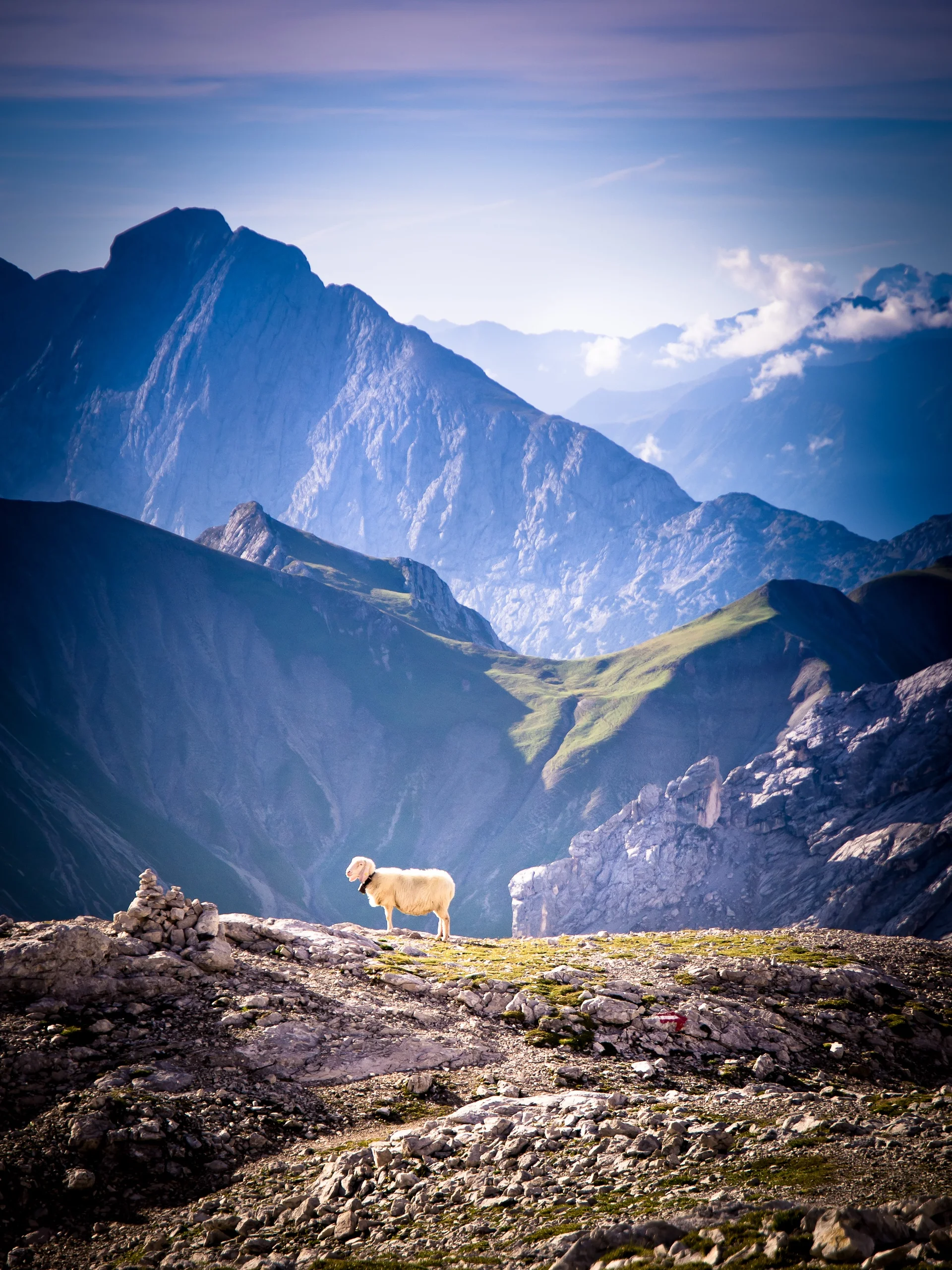 Ein Alt-Tag wegen BFSG | © DAV