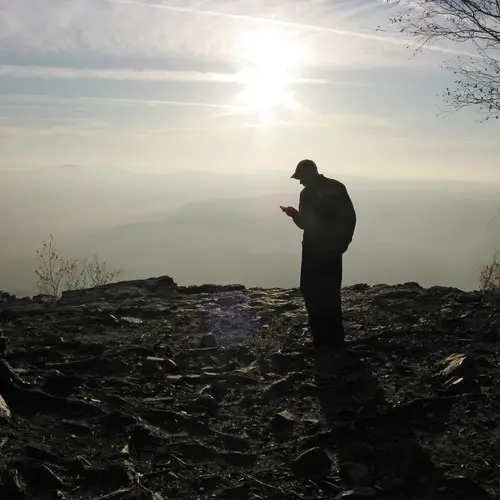 BFSG - ein Alt-Tag wird zur Pflicht | © Ferdinand Kozeluh / Pixabay